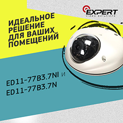 ED11-77B3-7NI  IP- 2  Expert